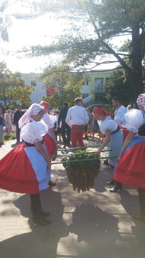 Гостевой дом Za Vodou Моравска-Нова-Вес Экстерьер фото